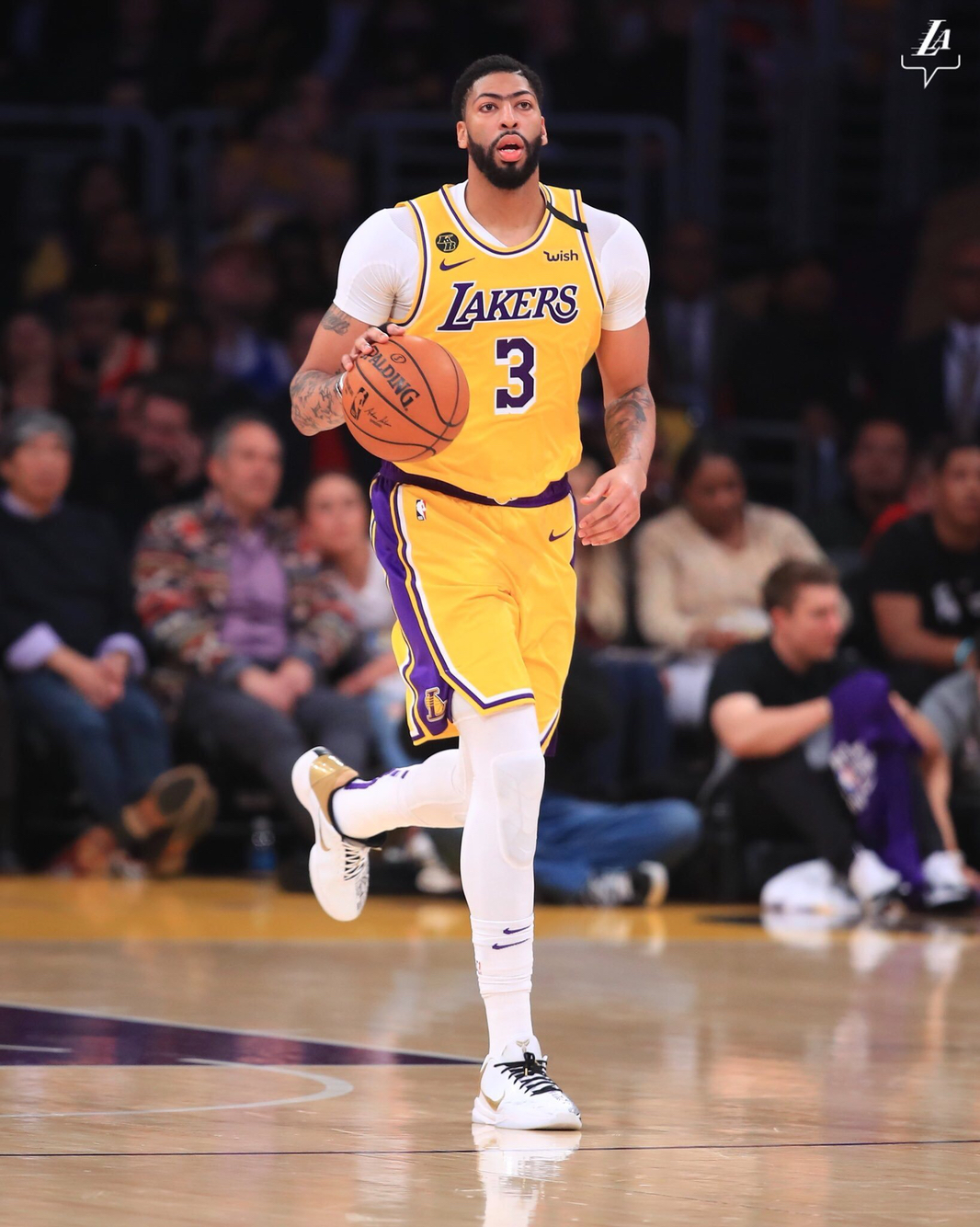 提供了沃土 提供了沃土