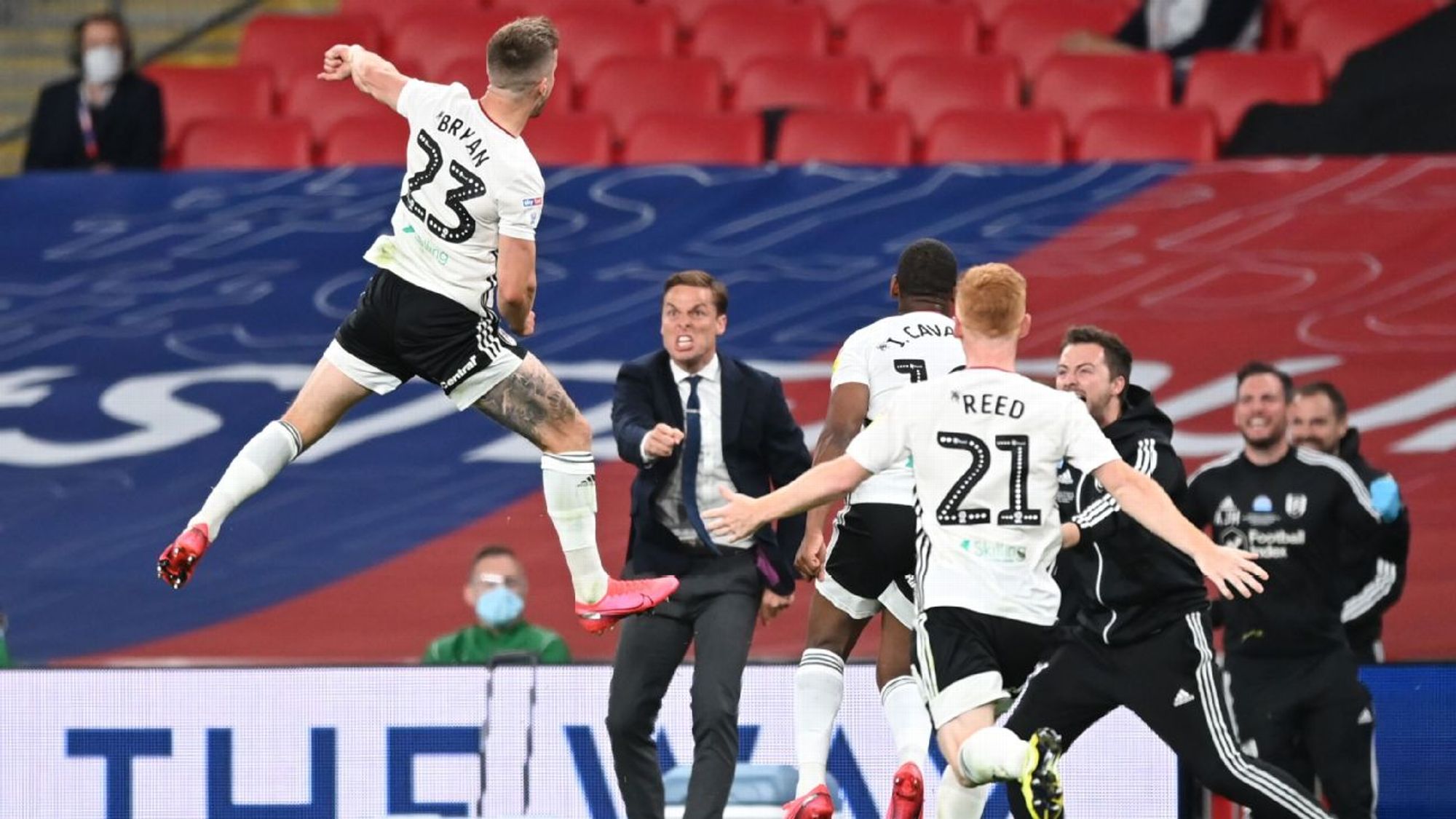 丹诺维奇伤 丹诺维奇伤